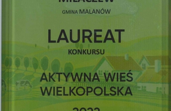 Statuetka konkursu Aktywna Wies Wielkopolska