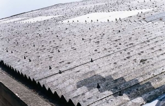 foto (1)